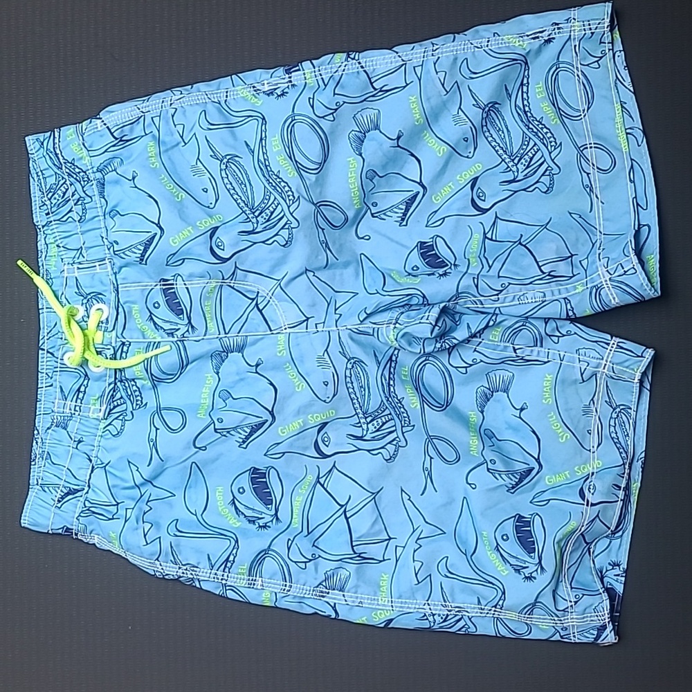 Gap Boys Swim Trunks L